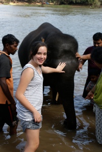 Gal washing elephants 2008